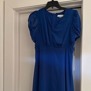 Calvin Klein Royal Blue Midi Dress